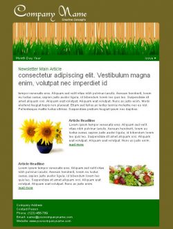 lawn_Newsletter